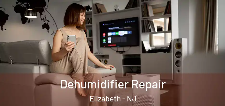 Dehumidifier Repair Elizabeth - NJ