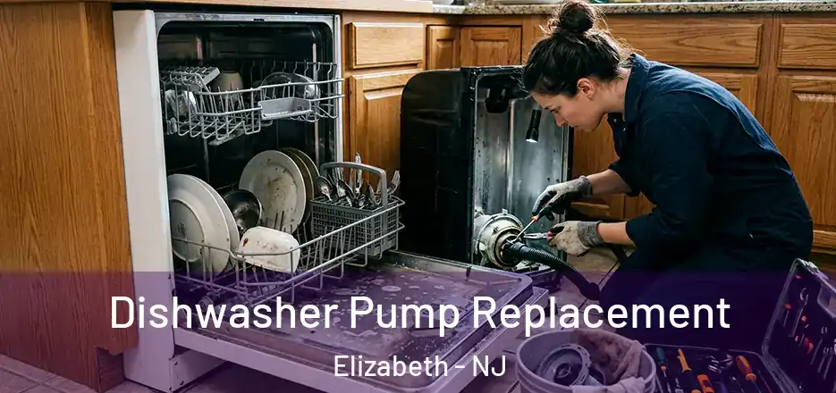 Dishwasher Pump Replacement Elizabeth - NJ