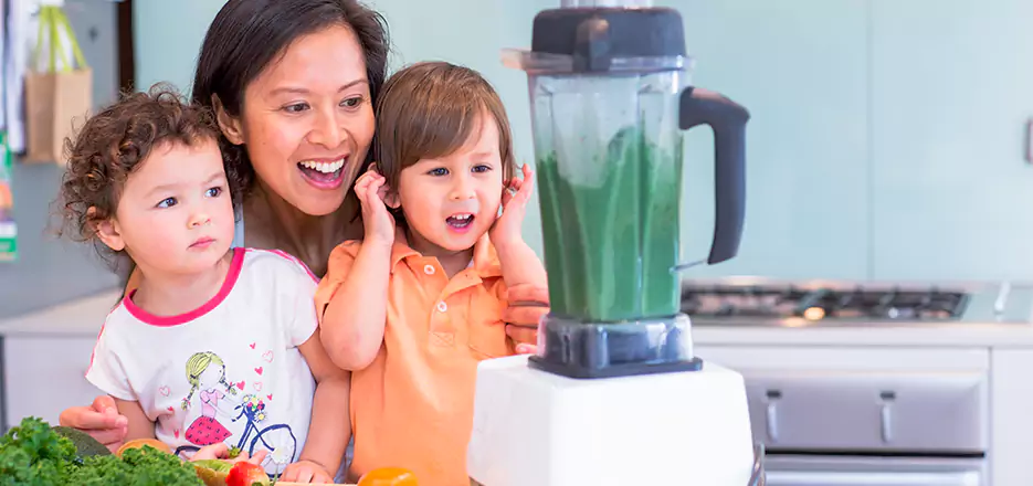 Juicer and Mixer Blender Repair in Elizabeth