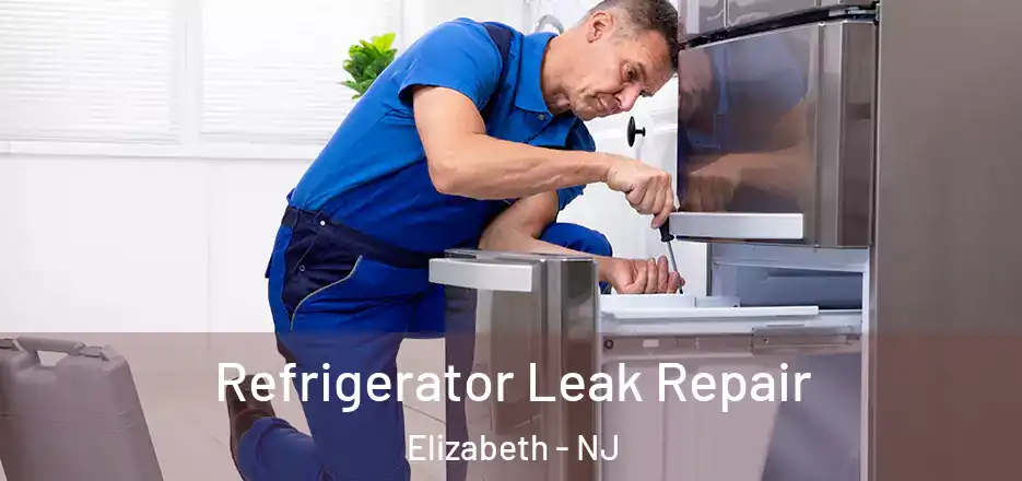 Refrigerator Leak Repair Elizabeth - NJ