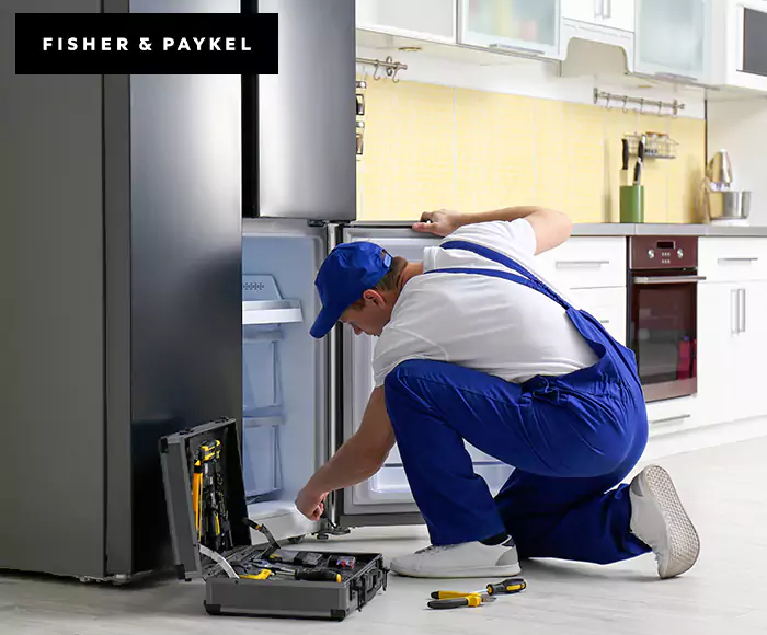 Top-Rated Fisher & Paykel Appliance Experts: Your Brand Specialist in Elizabeth, NJ